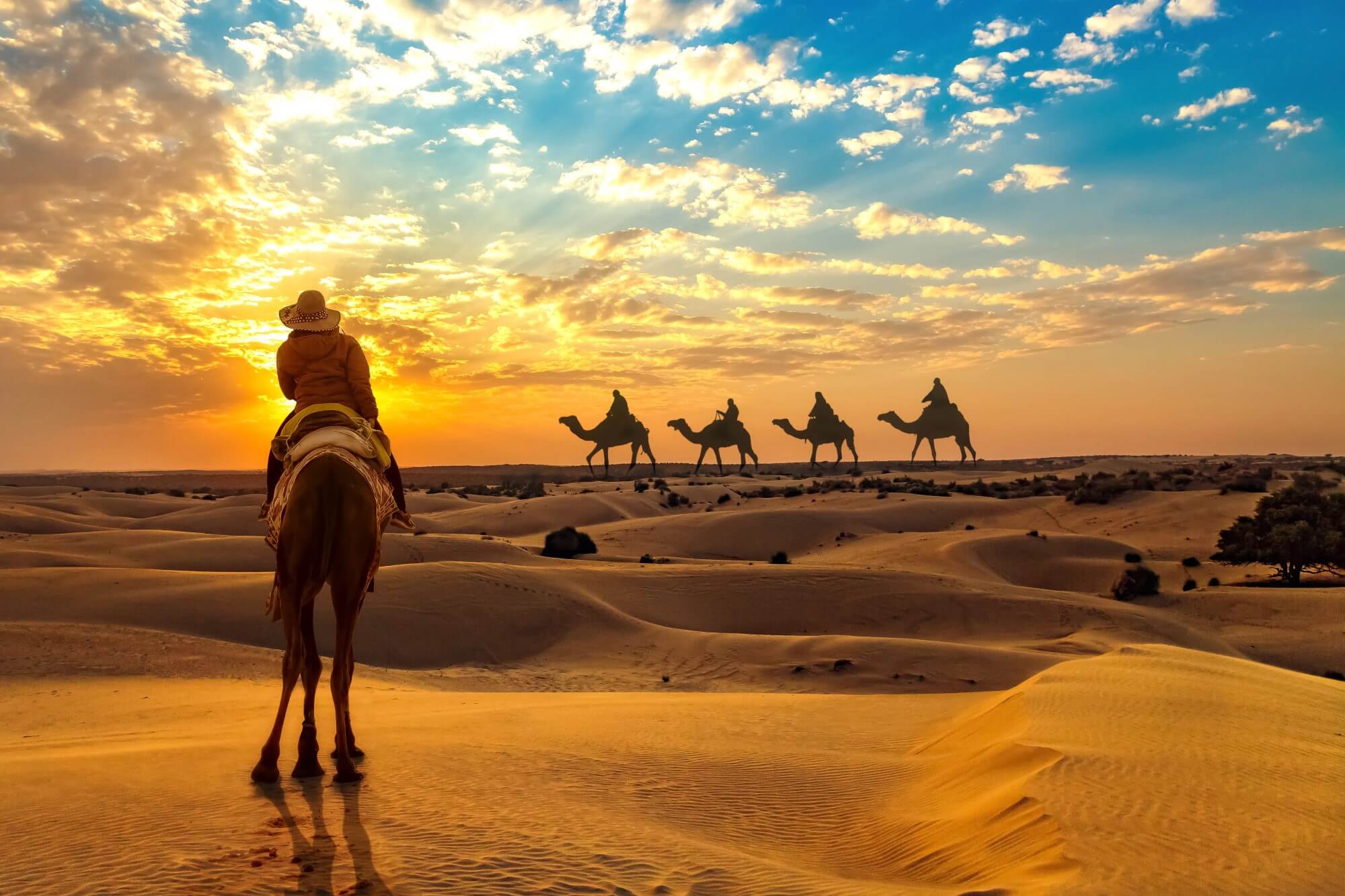Overnight Camel Safari